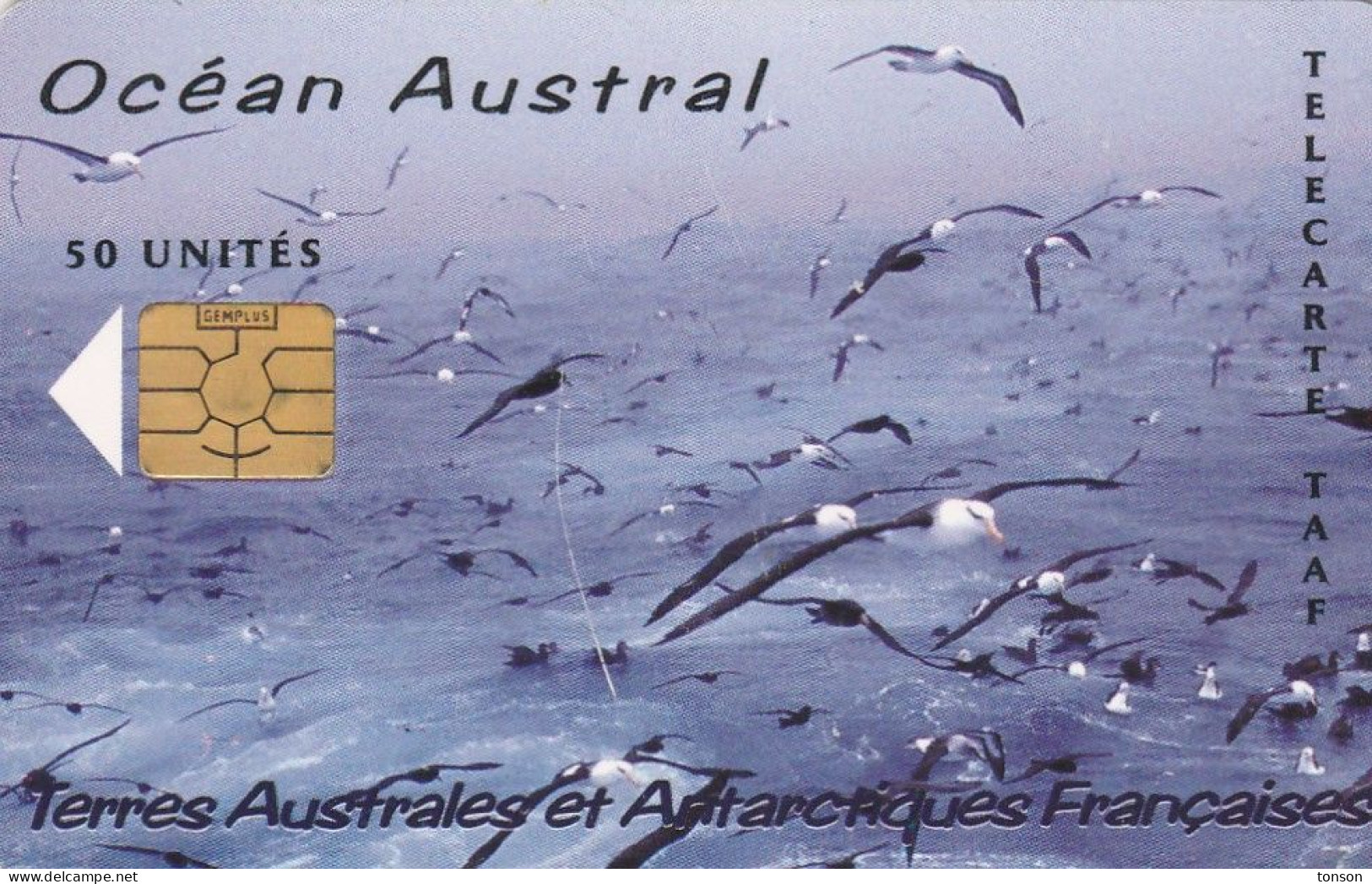 TAAF, TAF-35, Océan Austral, Birds, 2 Scans.   Please Read - TAAF - Terres Australes Antarctiques Françaises