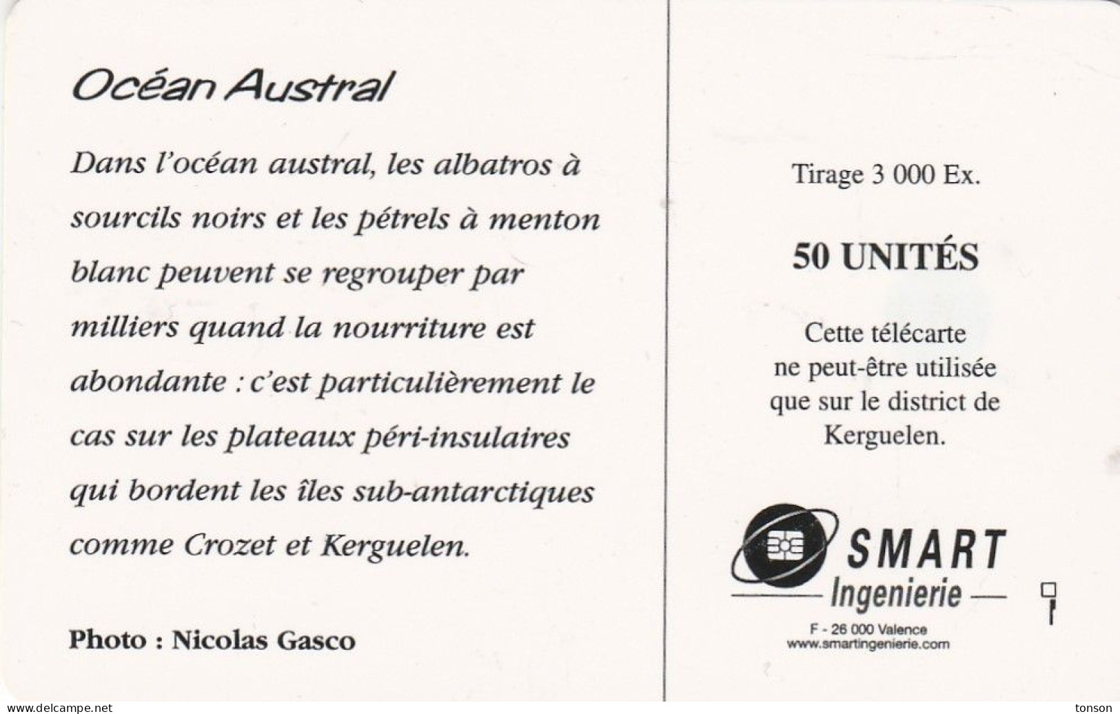 TAAF, TAF-35, Océan Austral, Birds, 2 Scans.   Please Read - TAAF - French Southern And Antarctic Lands