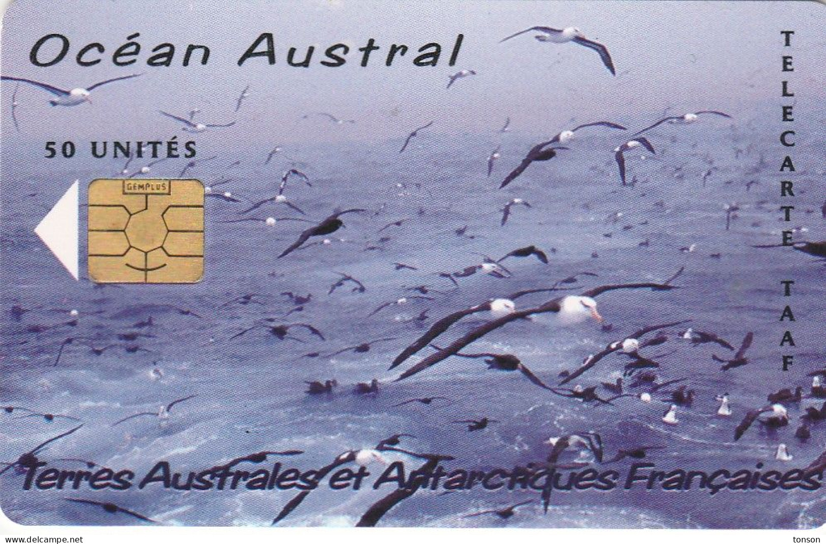 TAAF, TAF-35, Océan Austral, Birds, 2 Scans. - TAAF - French Southern And Antarctic Lands