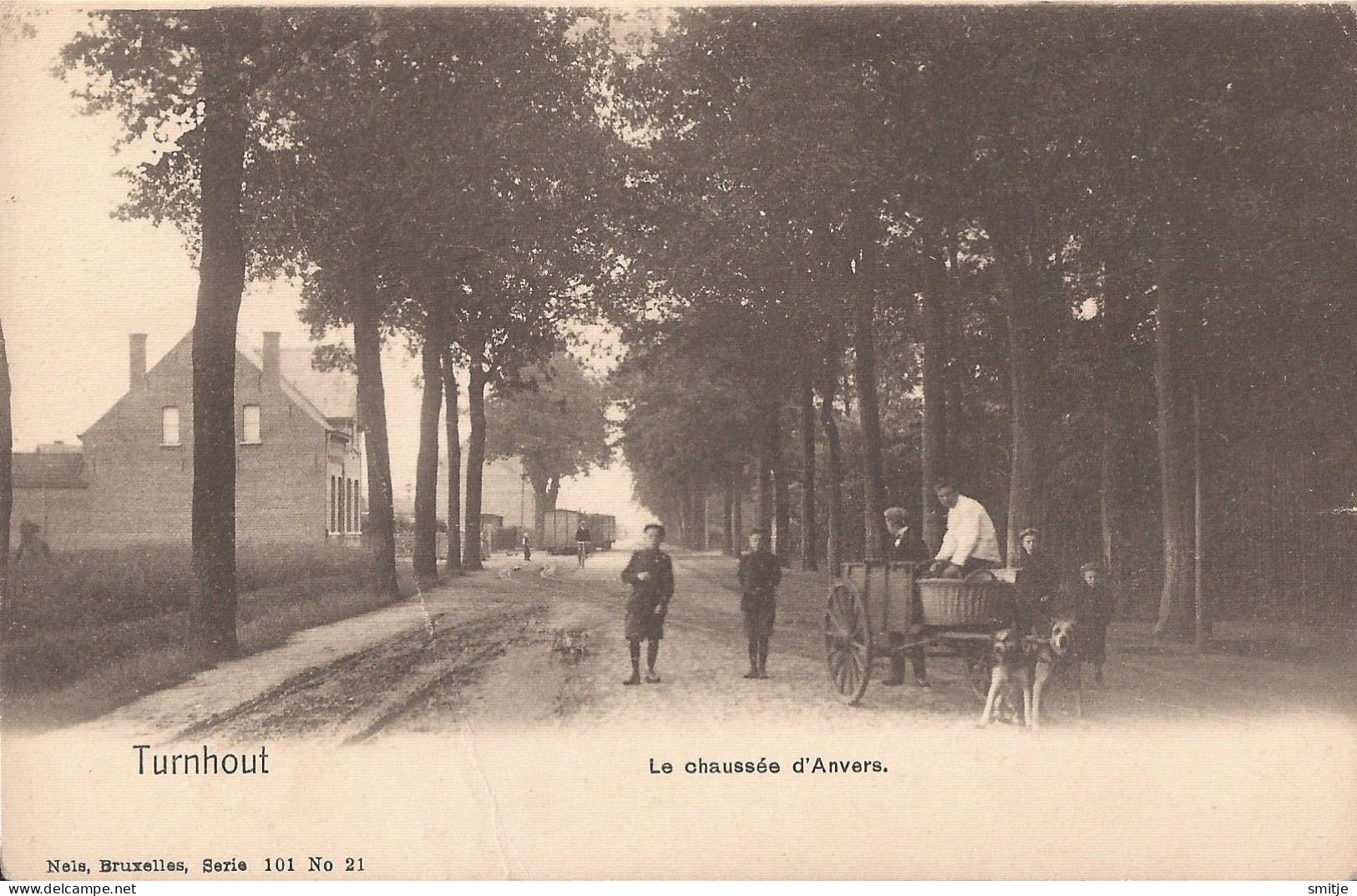 TURNHOUT CA. 1905 HONDENKAR EN TRAM STOOMTRAM OP DE CHAUSSEE D'ANVERS - ATTELAGE DE CHIEN VICINAL - Turnhout