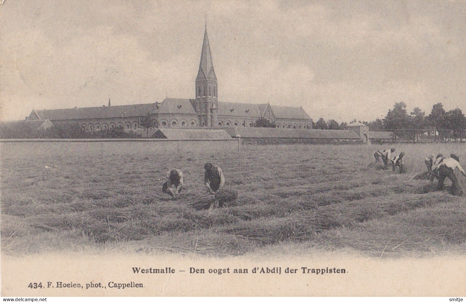 MALLE WESTMALLE 1908 BROEDERS AAN DEN OOGST OOGSTEN VLAS ? - ABDIJ DER TRAPPISTEN - HOELEN KAPELLEN 434 - Malle