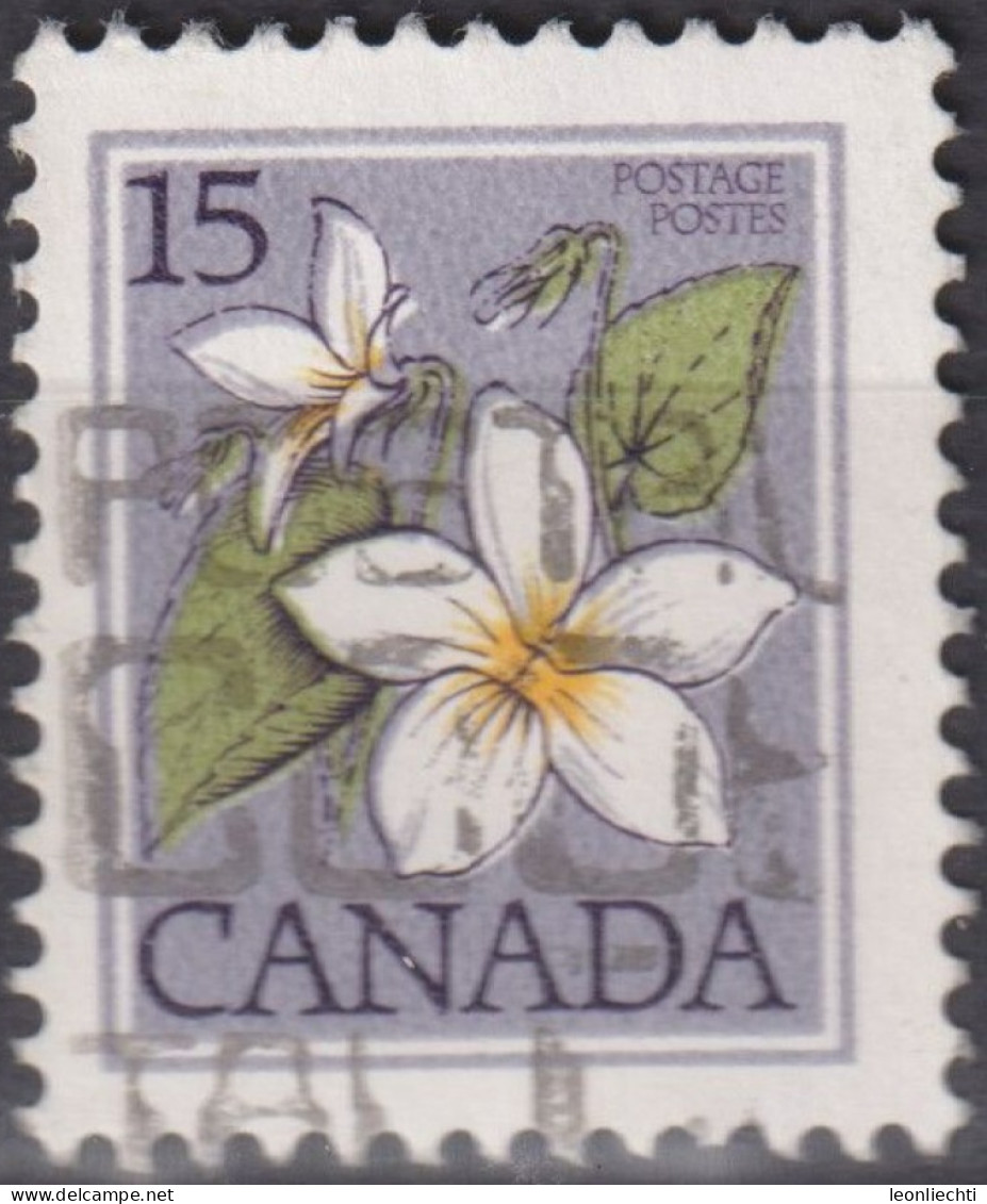 1979 Kanada ° Mi:CA 745, Sn:CA 787, Yt:CA 712, Canada Violet (Viola Canadensis) - Oblitérés