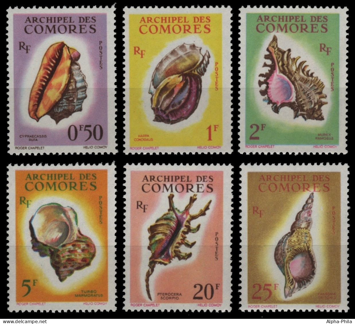 Komoren 1962 - Mi-Nr. 42-47 ** - MNH - Meeresschnecken / Marine Snails - Comores (1975-...)