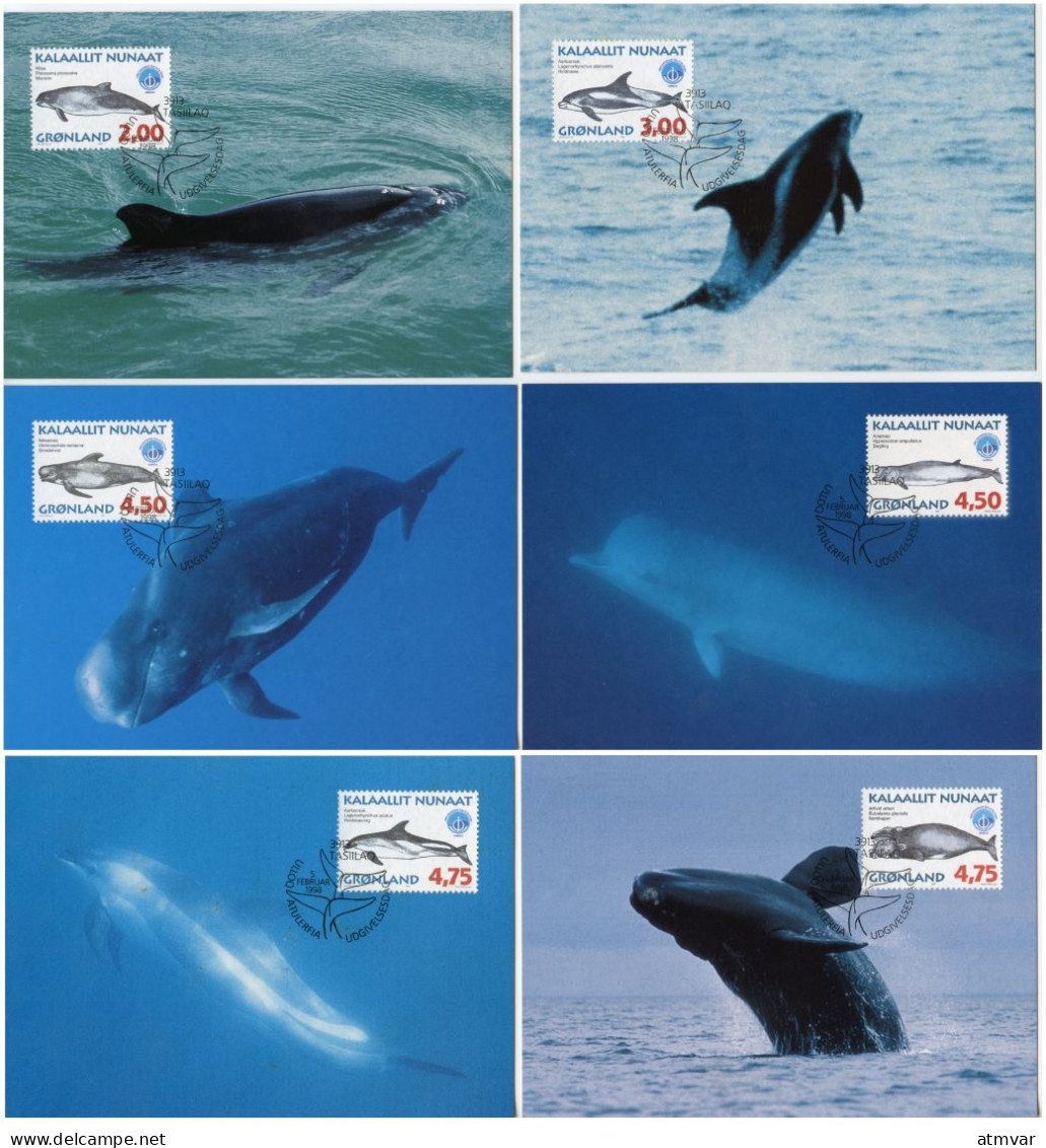 GREENLAND (1998) Carte S Maximum Card S - Greenlandic Whales, Baleine, Ballena, Wal - International Year Of The Ocean - Maximumkaarten