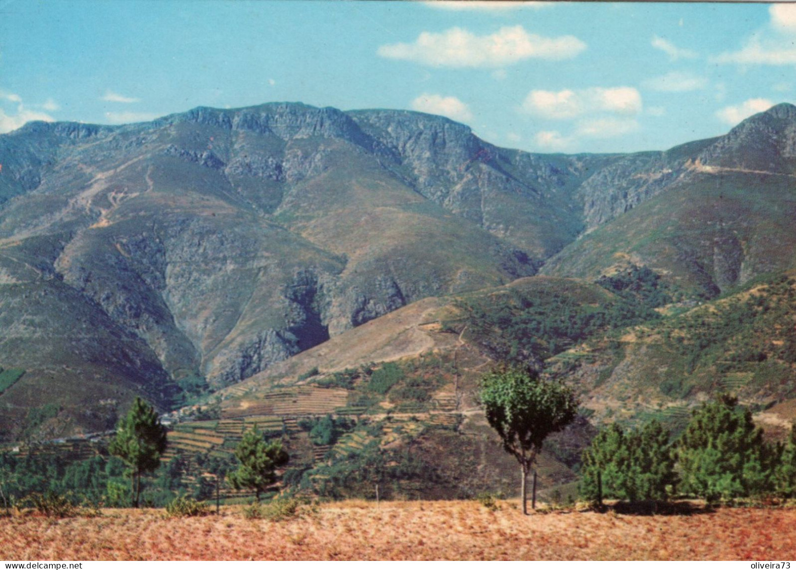 SERRA DO MARÃO - Alto De Nossa Senhora Da Serra - PORTUGAL - Vila Real