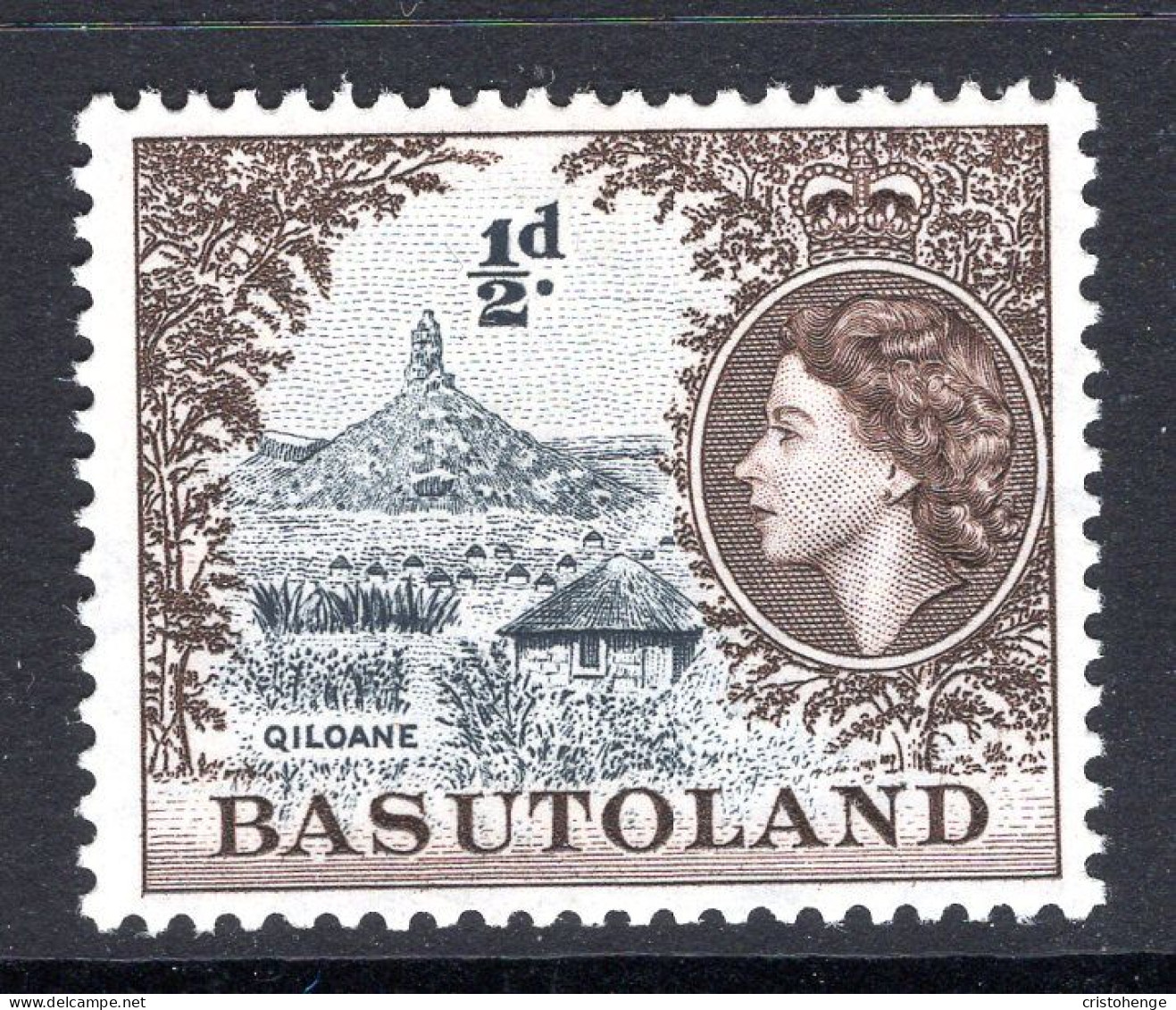 Basutoland 1954-58 QEII Pictorials - ½d Qiloane HM (SG 43) - 1933-1964 Colonie Britannique