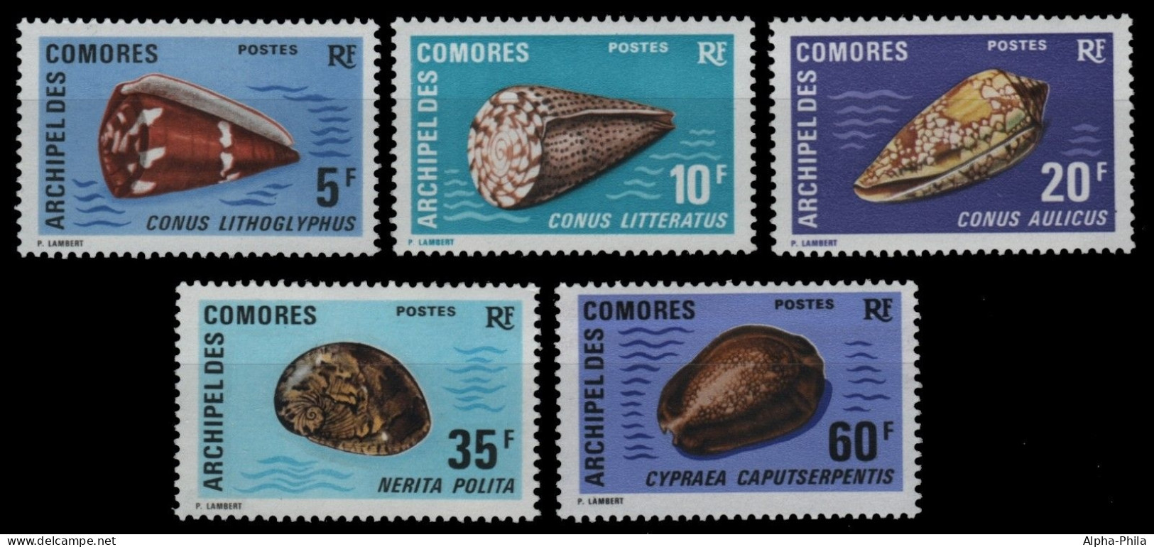 Komoren 1971 - Mi-Nr. 129-133 ** - MNH - Meeresschnecken / Marine Snails - Comores (1975-...)