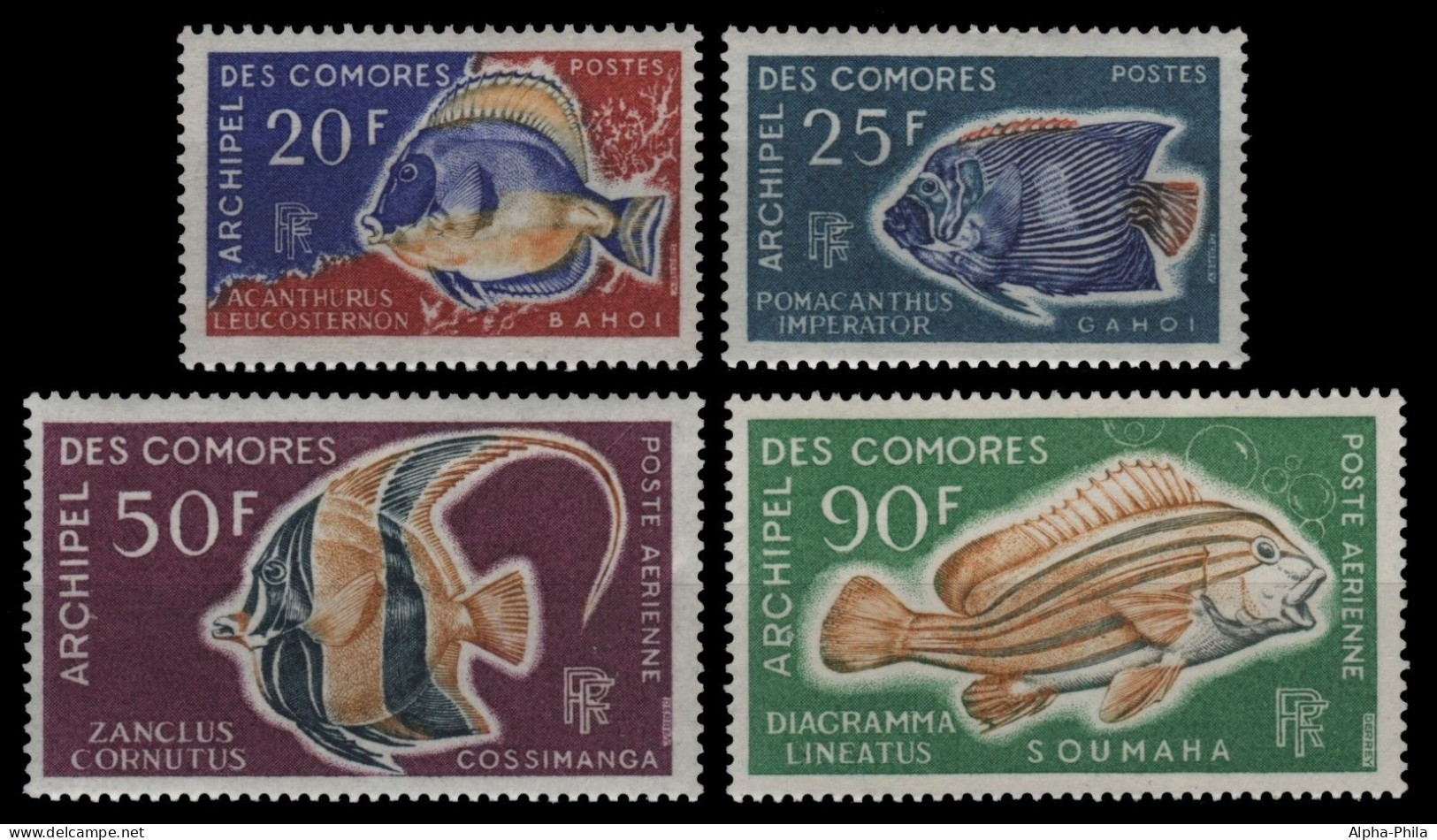 Komoren 1968 - Mi-Nr. 88-91 ** - MNH - Fische / Fish - Comores (1975-...)