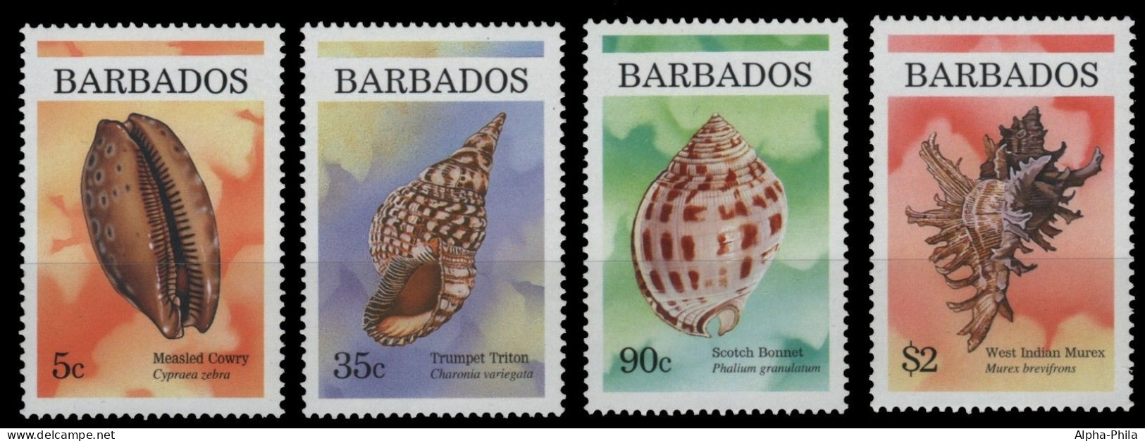 Barbados 1997 - Mi-Nr. 920-923 ** - MNH - Meeresschnecken / Marine Snails - Barbades (1966-...)