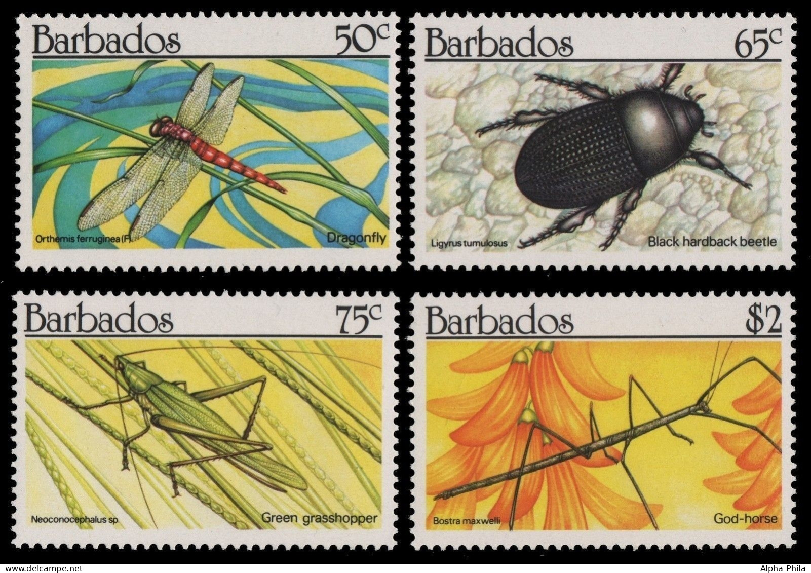 Barbados 1990 - Mi-Nr. 759-762 ** - MNH - Insekten / Insects - Barbades (1966-...)