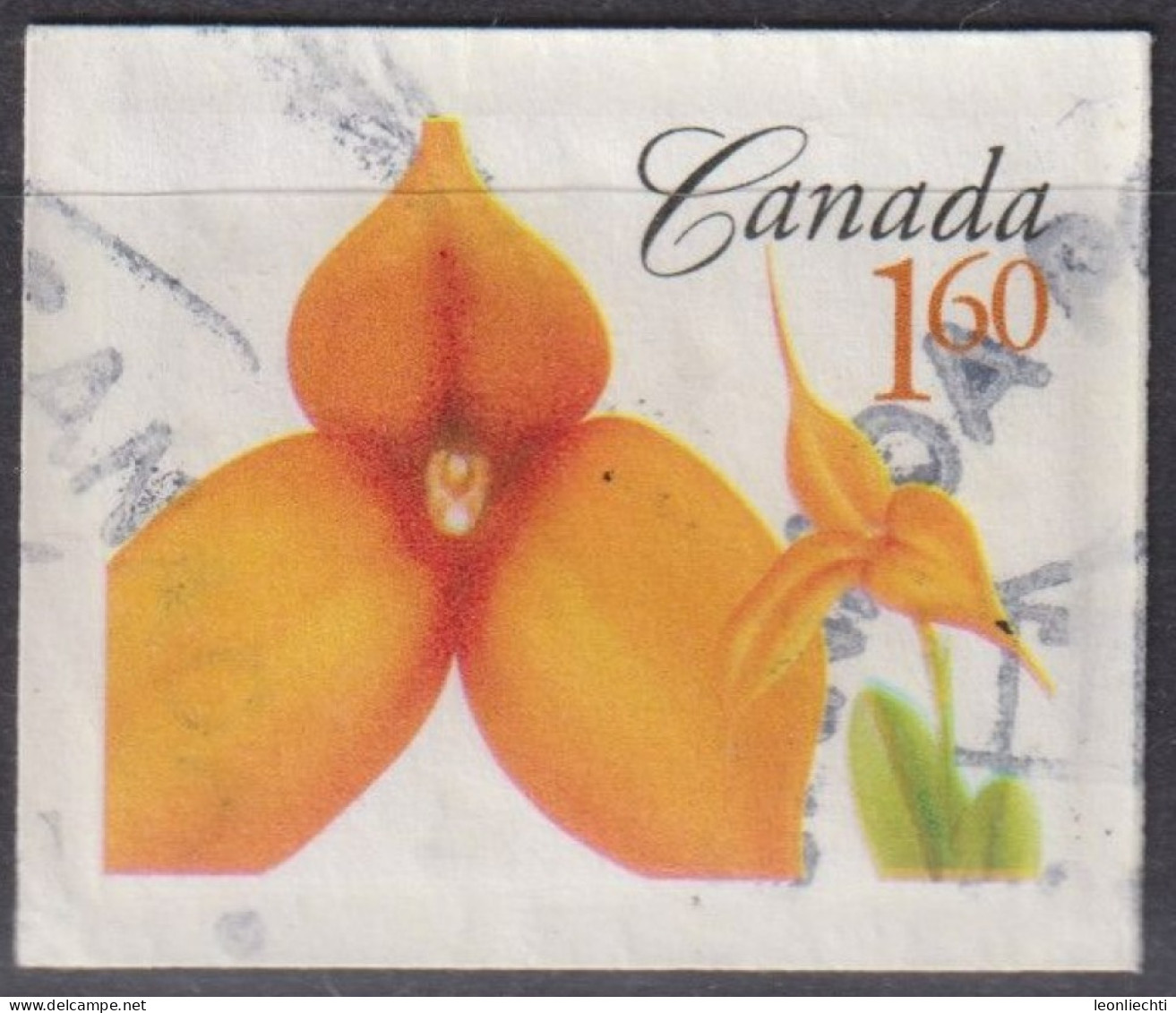 2007 Kanada ° Mi:CA 2454BB, Sn:CA 2256, Yt:CA 2327, Masdevallia Kaleidoscope - Used Stamps