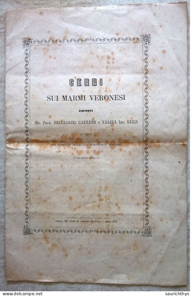 Cenni Sui Marmi Veronesi Esposti Dal Prof Pellegrini Gaetano Farina Luigi Verona 1873 Giurassico Geologia Paleontologia - Libros Antiguos Y De Colección