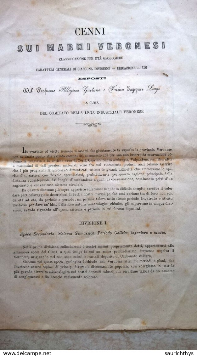 Cenni Sui Marmi Veronesi Esposti Dal Prof Pellegrini Gaetano Farina Luigi Verona 1873 Giurassico Geologia Paleontologia - Libri Antichi