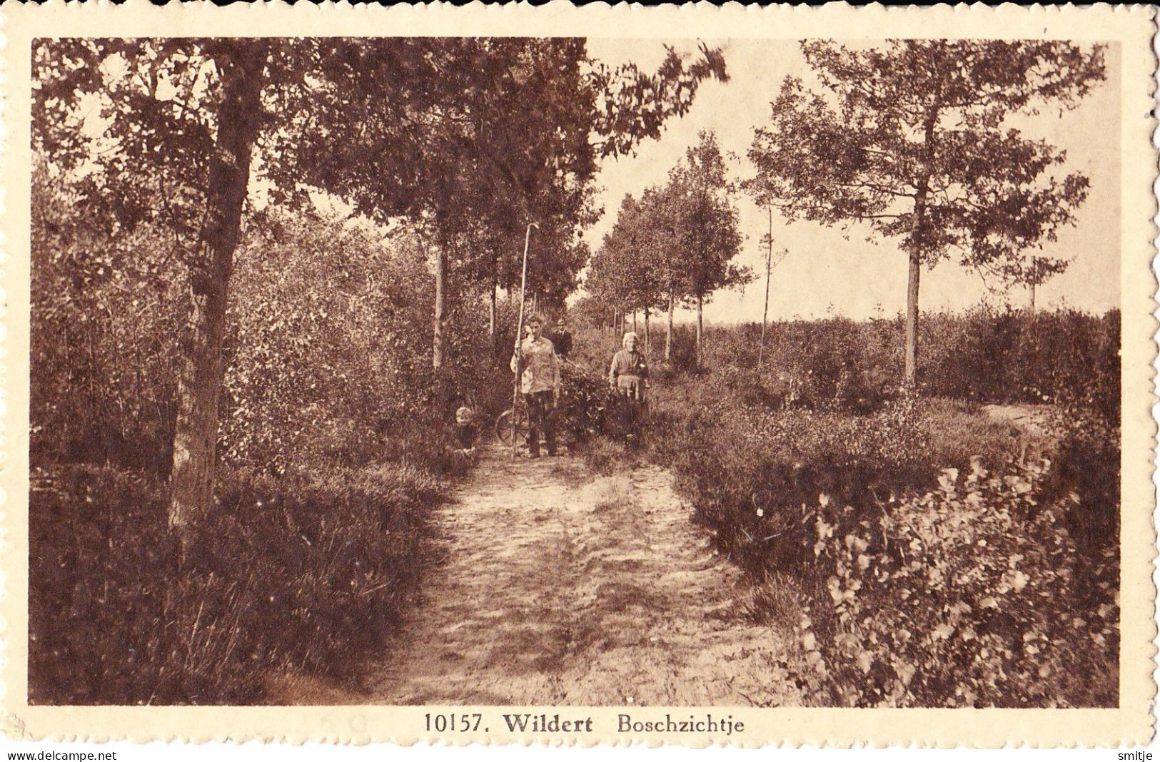 WILDERT ESSEN KALMTHOUT CA. 1930 BOSCHZICHTJE MET MENSEN - HOELEN KAPELLEN 10157 - Essen