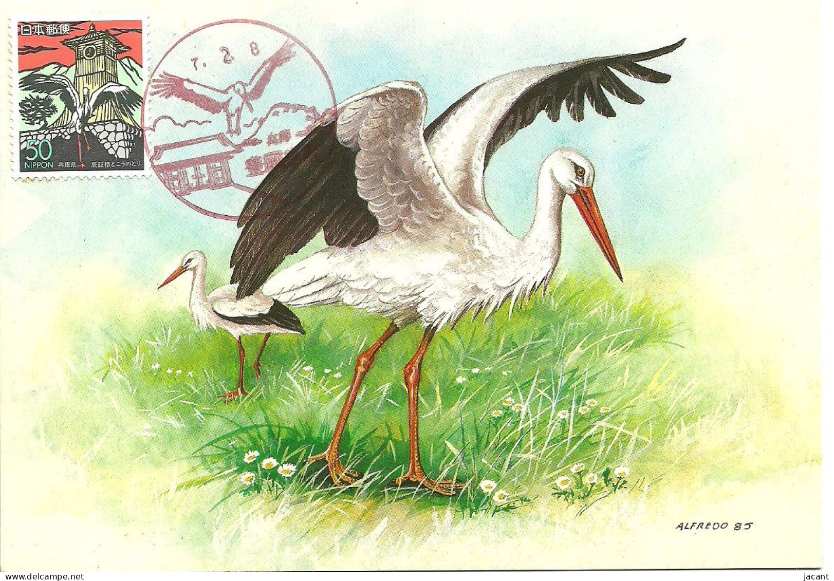 Carte Maximum - Oiseaux - Japon Japao Japan - Cegonha Branca - Cigogne Blanche - White Stork - Ciconia Ciconia - Cartoline Maximum