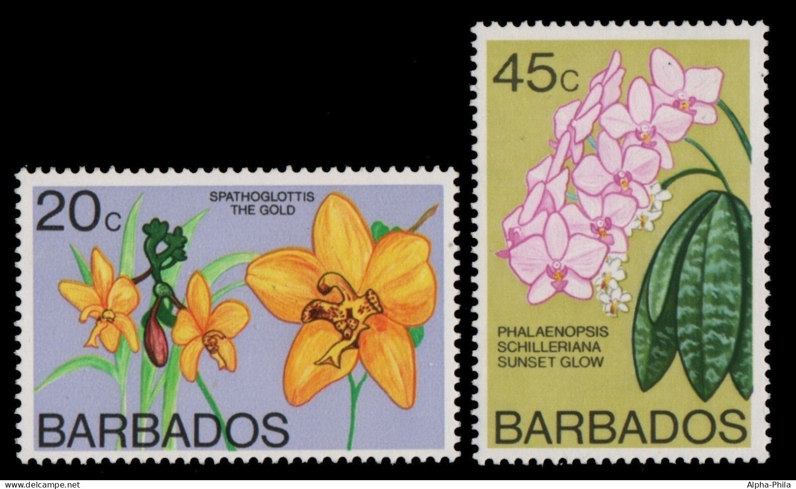 Barbados 1977 - Mi-Nr. 420-421 X ** - MNH - Orchideen / Orchids - Barbades (1966-...)