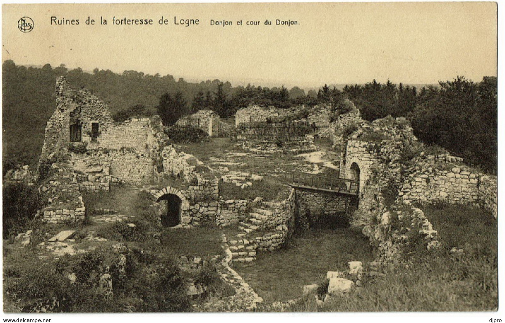 Ruines De La Fortresse De Logne - Ferrieres