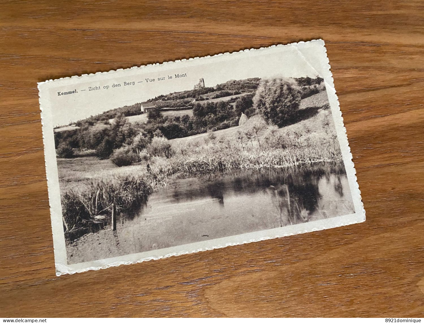 Kemmel - Zicht Van Den Berg ( Heuvelland) Vue Sur Le Mont  - 1930 Ed. Au Belvedère Deconinck Roggeman - Heuvelland