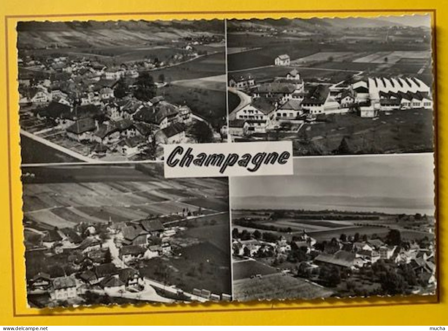 19631 - Champagne Carte Multivues 12.04.1966 - Champagne