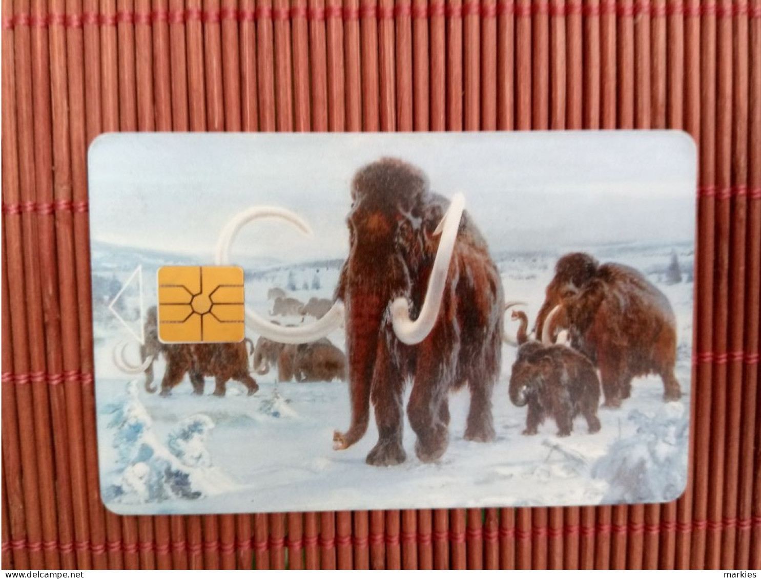 Elephant  Phonecard Used  Rare - Jungle