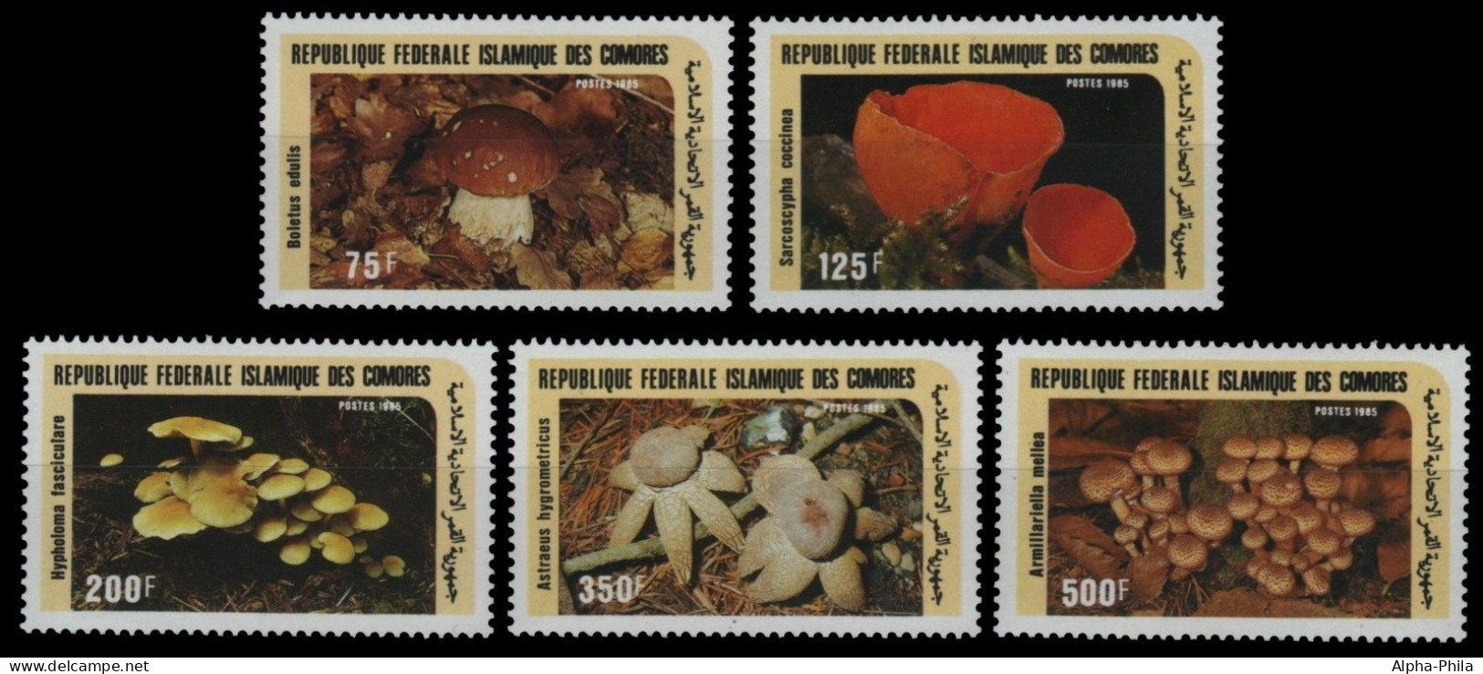 Komoren 1985 - Mi-Nr. 762-766 ** - MNH - Pilze / Mushrooms - Comores (1975-...)