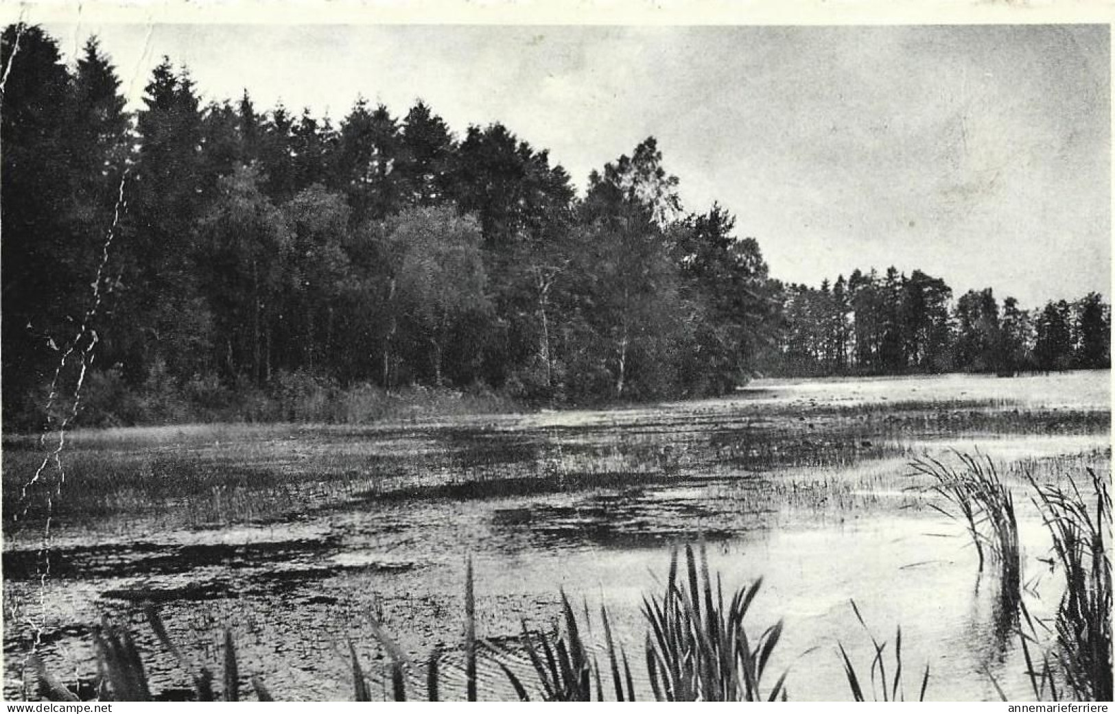 CUL DES SARTS - Etang Des Perchettes - Cul-des-Sarts