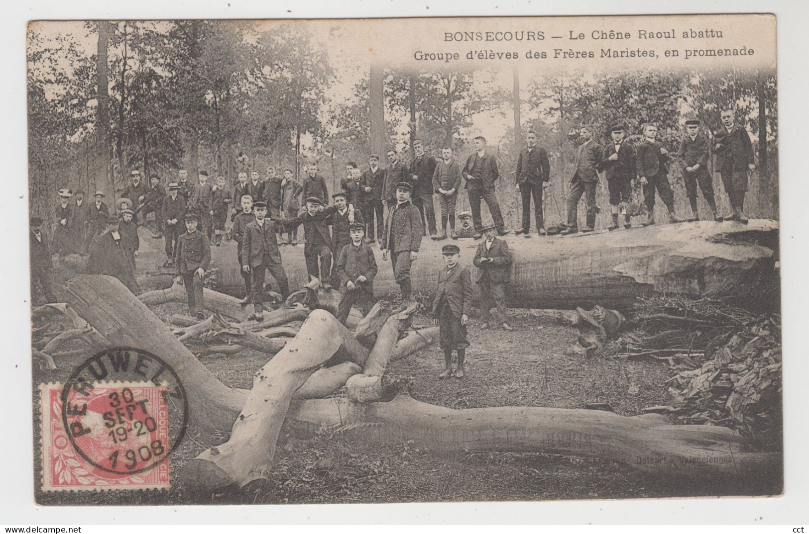 Bonsecours  Bon-Secours  Péruwelz   Le Chêne Raoul Abattu Groupe D'élèves Des Frères Maristes En Promenade - Péruwelz