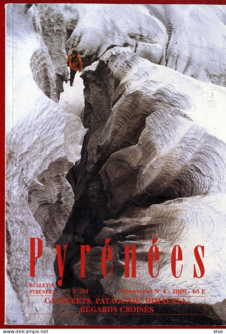 PYRENEES  N° 204   N° 4  2000  -   RENCONTRES A ARGELES ET CAUTERETSPATAGONIE   -  LES PYRENEES  PAGE 339 A 448 - Midi-Pyrénées