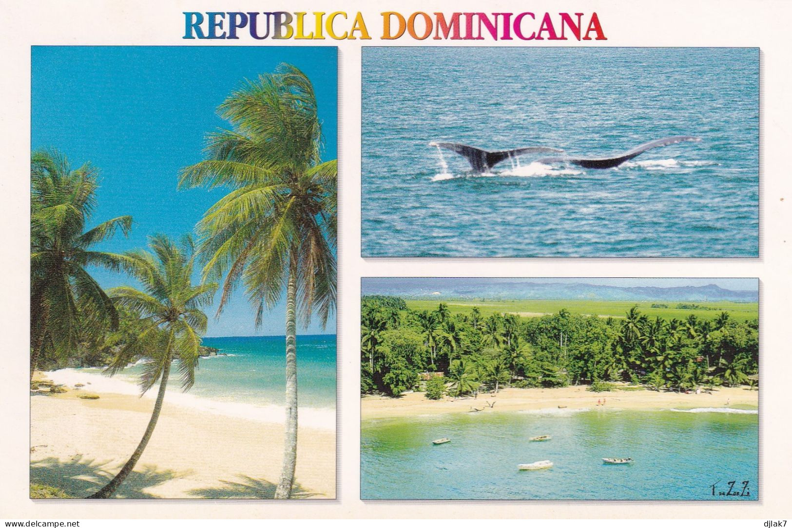 République Dominicaine Costa Norte - Repubblica Dominicana