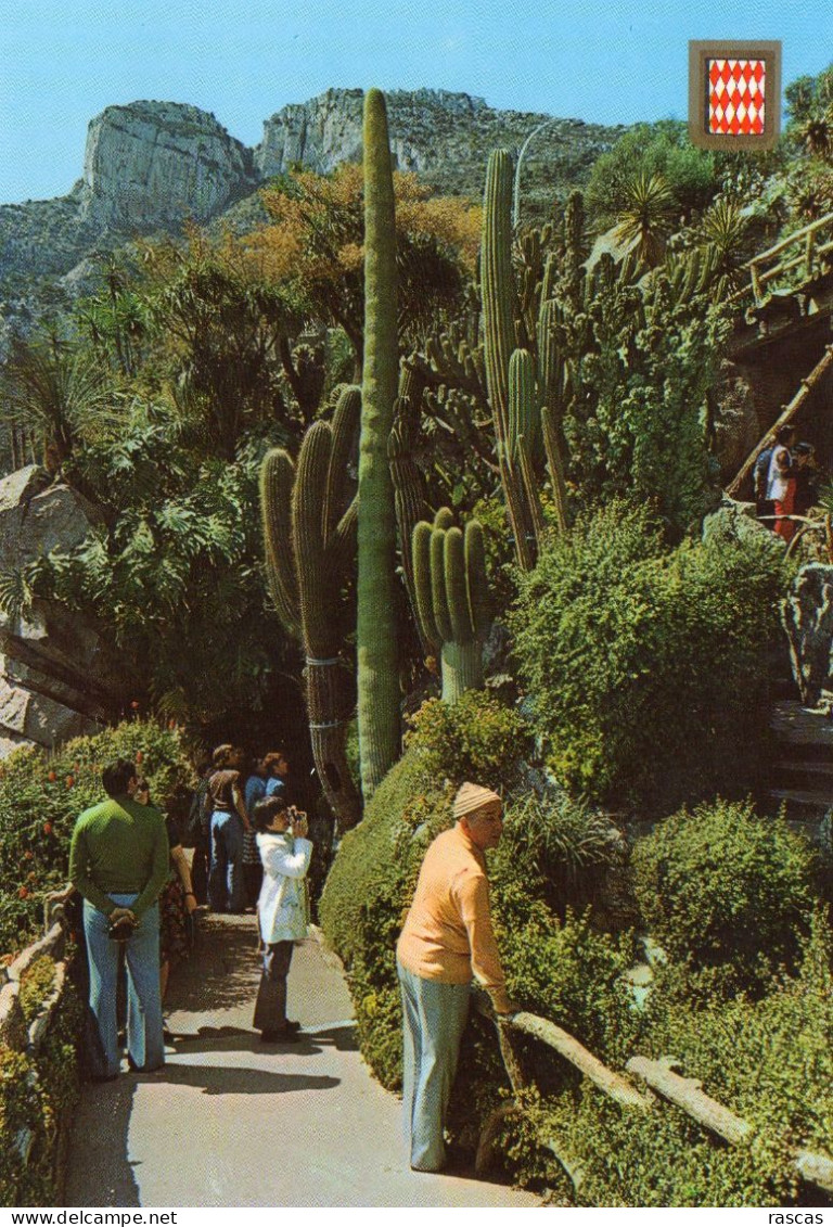 CPM - K - MONACO MONTECARLO - LE JARDIN EXOTIQUE - Jardin Exotique