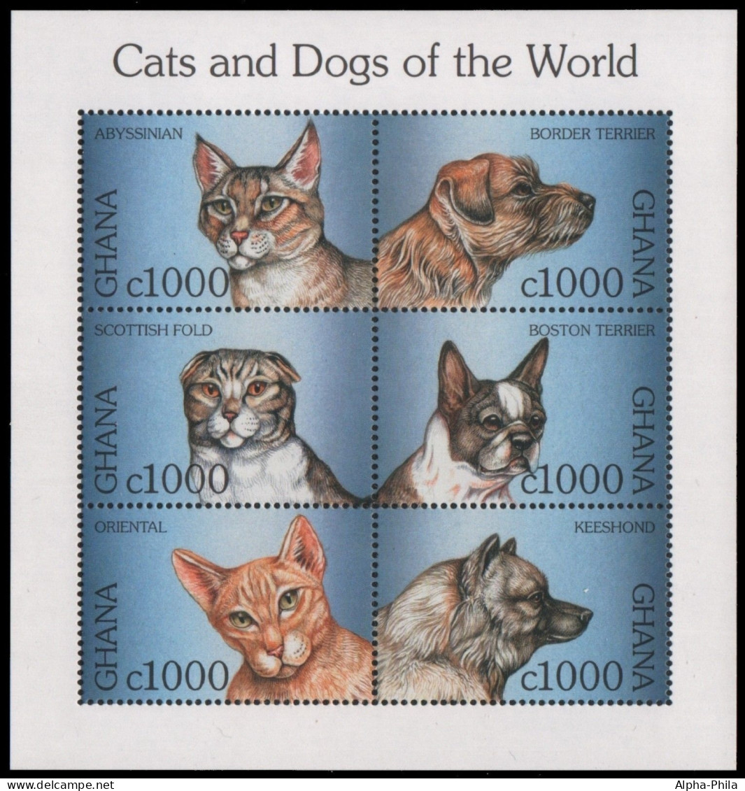 Ghana 1997 - Mi-Nr. 2631-2636 ** - MNH - Katzen / Cats - Hunde / Dogs - Ghana (1957-...)