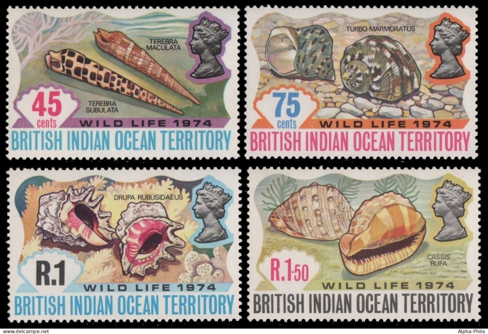 BIOT 1974 - Mi-Nr. 59-62 ** - MNH - Meeresschnecken / Marine Snails - Territorio Britannico Dell'Oceano Indiano