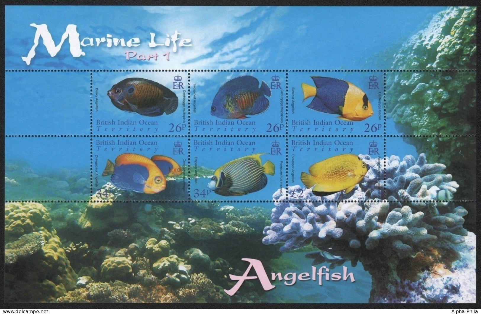 BIOT 2006 - Mi-Nr. 406-411 ** - MNH - Fische / Fish - Territoire Britannique De L'Océan Indien