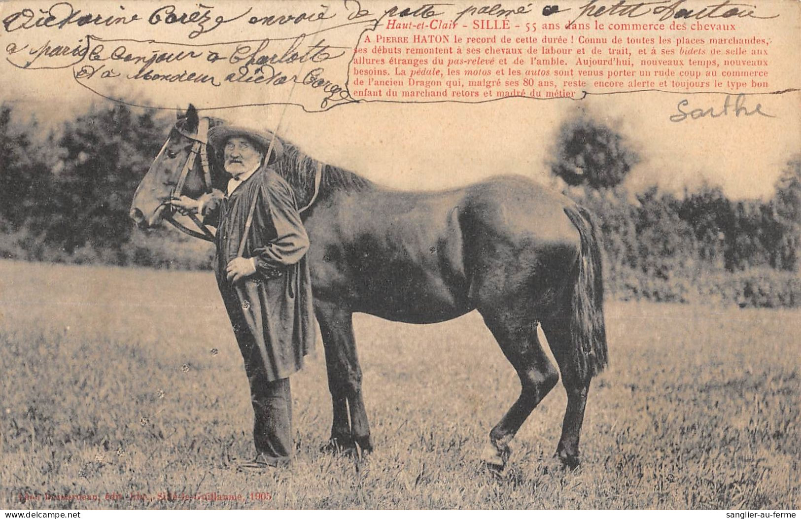 CPA 72 SILLE / HAUT ET CLAIR / PIERRE HATON / 55 ANS DANS LE COMMERCE DES CHEVAUX - Sille Le Guillaume