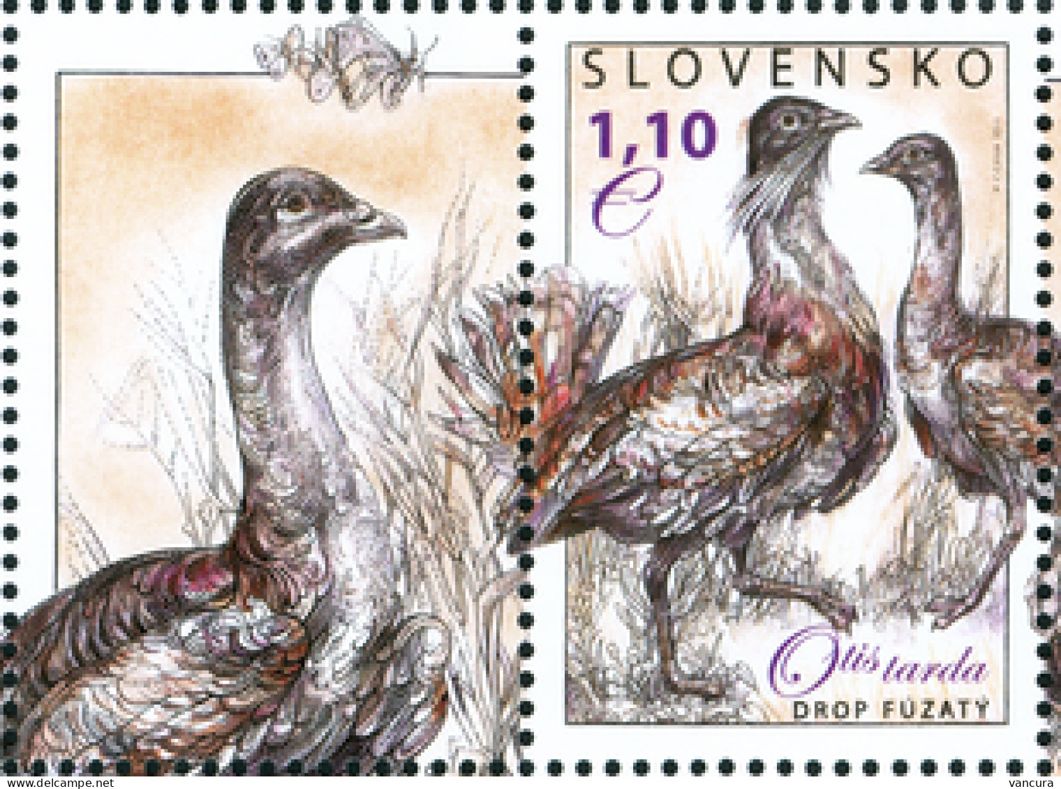 ** 505 Slovakia Otis Tarda 2011 - Cranes And Other Gruiformes