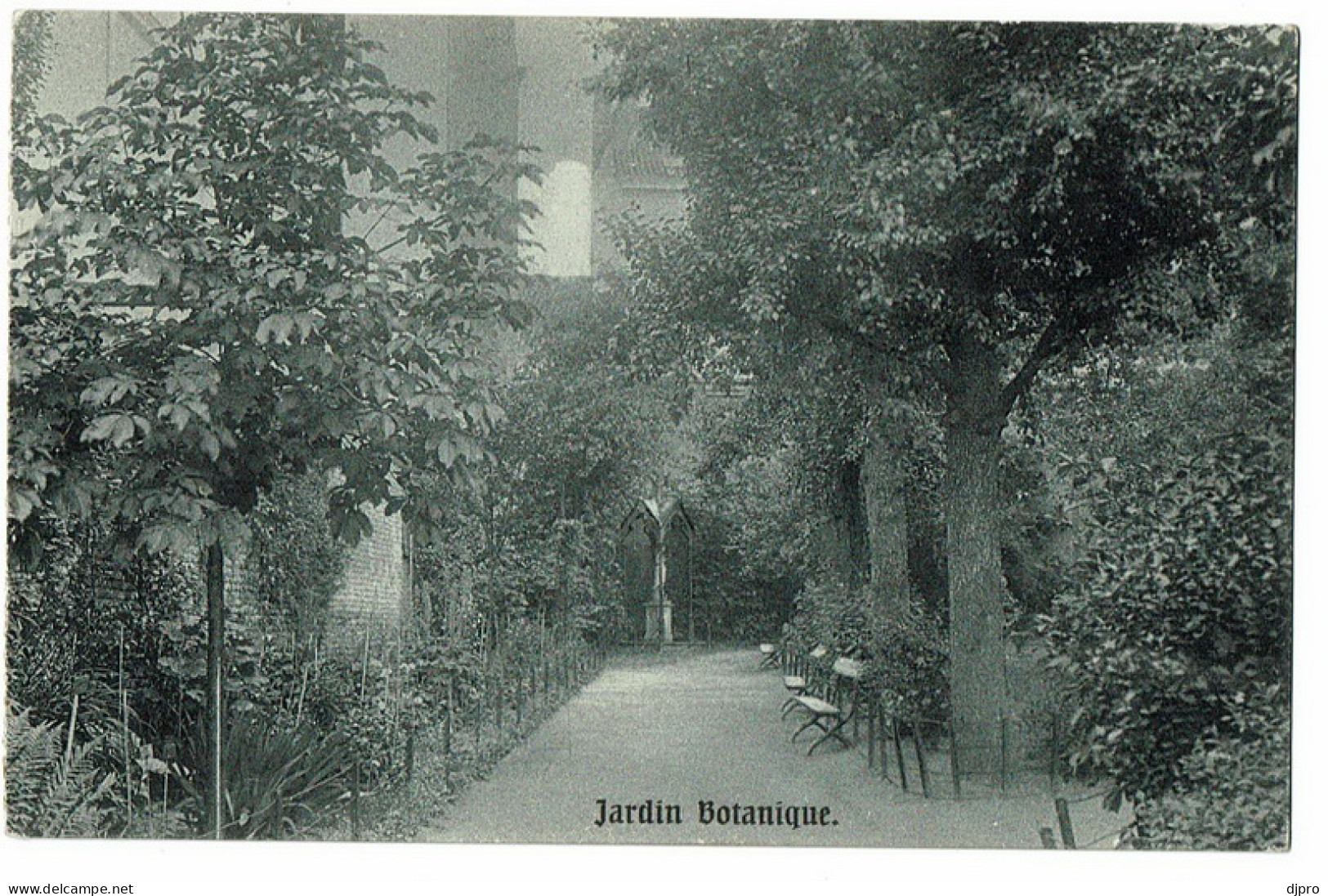 Arbre Benit Ixelles Jardin Botanique - Elsene - Ixelles