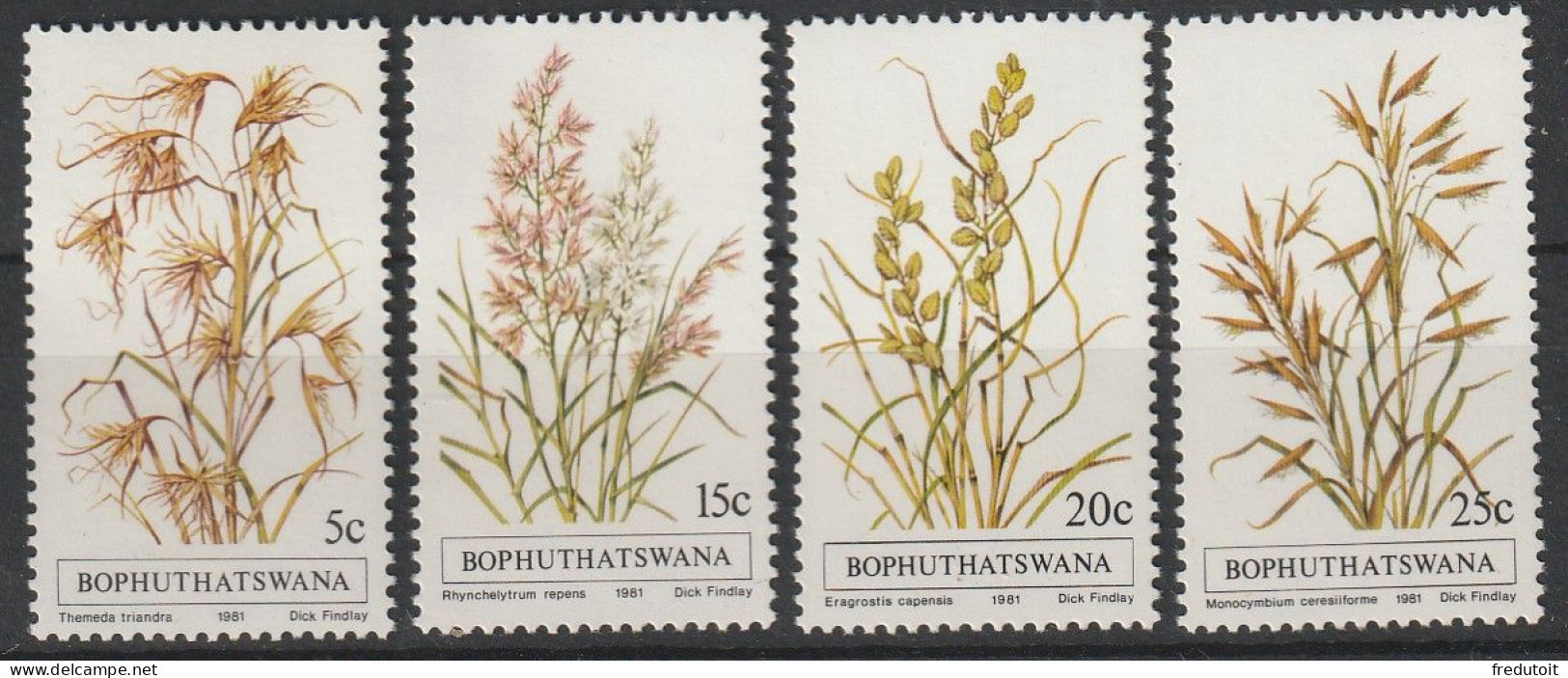 BOPHUTHATSWANA - N°80/3 ** (1981) Flore : Herbes - Bofutatsuana