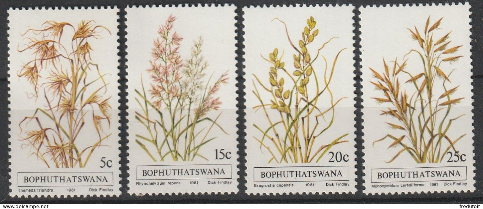 BOPHUTHATSWANA - N°80/3 ** (1981) Flore : Herbes - Bophuthatswana