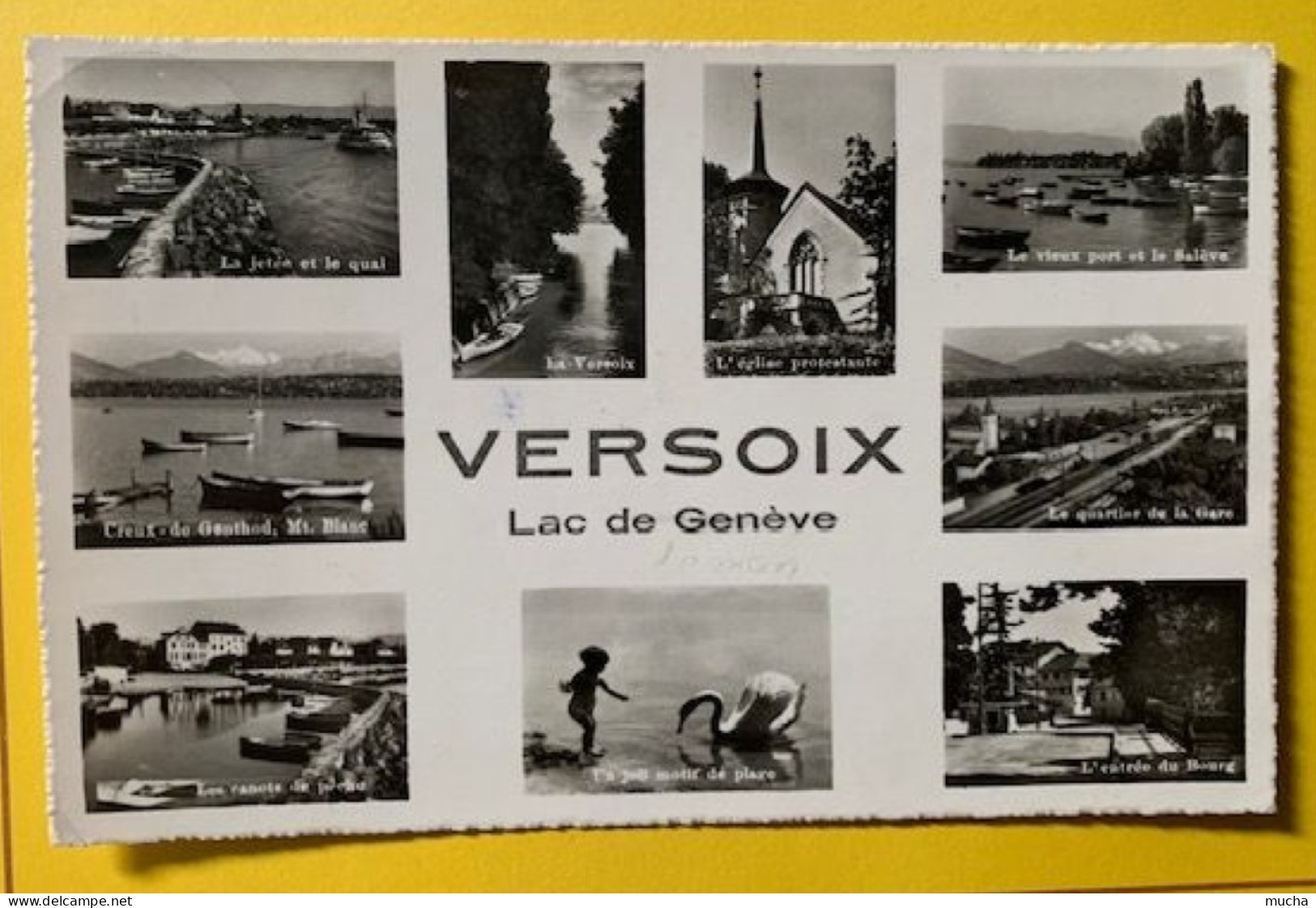 19639 - Versoix Lac De Genève Carte Multivues 13.08.1952 - Versoix