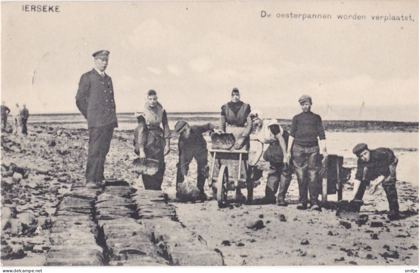 YERSEKE 1915 OESTERCULTUUR OESTER-INDUSTRIE OESTERS HUITRES OESTERPANNEN VERPLAATSEN - Yerseke