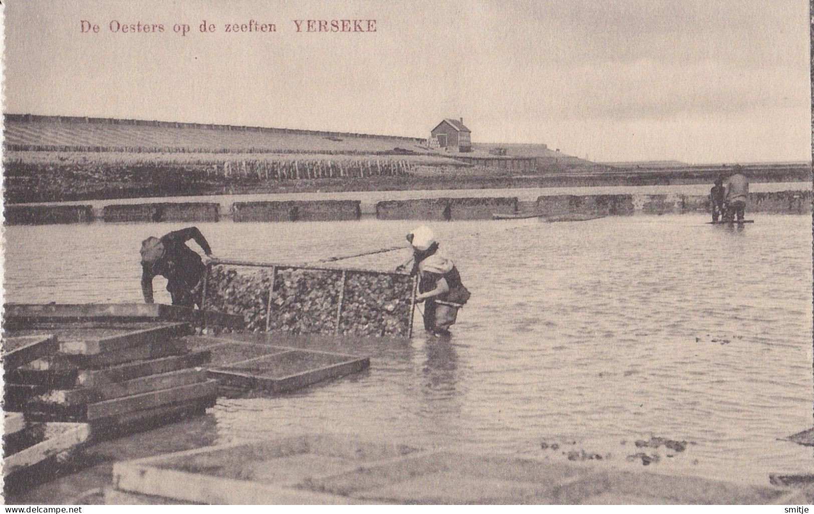 YERSEKE OESTERCULTUUR OESTER-INDUSTRIE AANVOER VISSERIJ ZEEFTEN OESTERS HUITRES KLEDERDRACHT - Yerseke