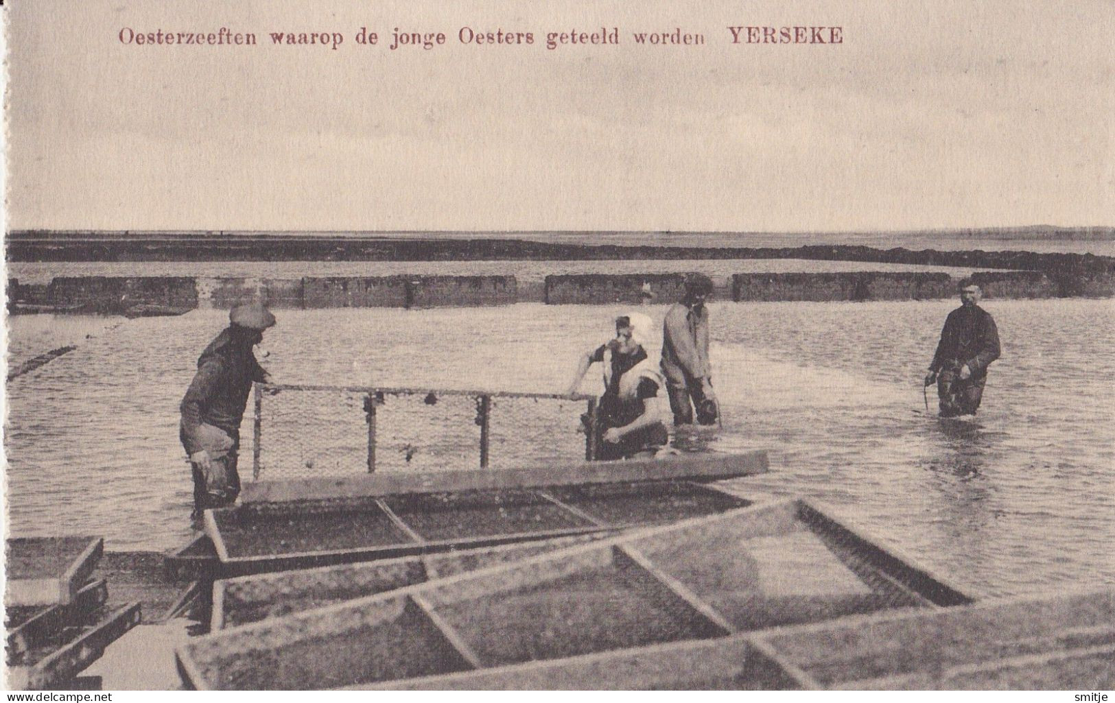 YERSEKE OESTERCULTUUR OESTER-INDUSTRIE OESTERZEEFTEN JONGE OESTERS HUITRES KLEDERDRACHT - Yerseke