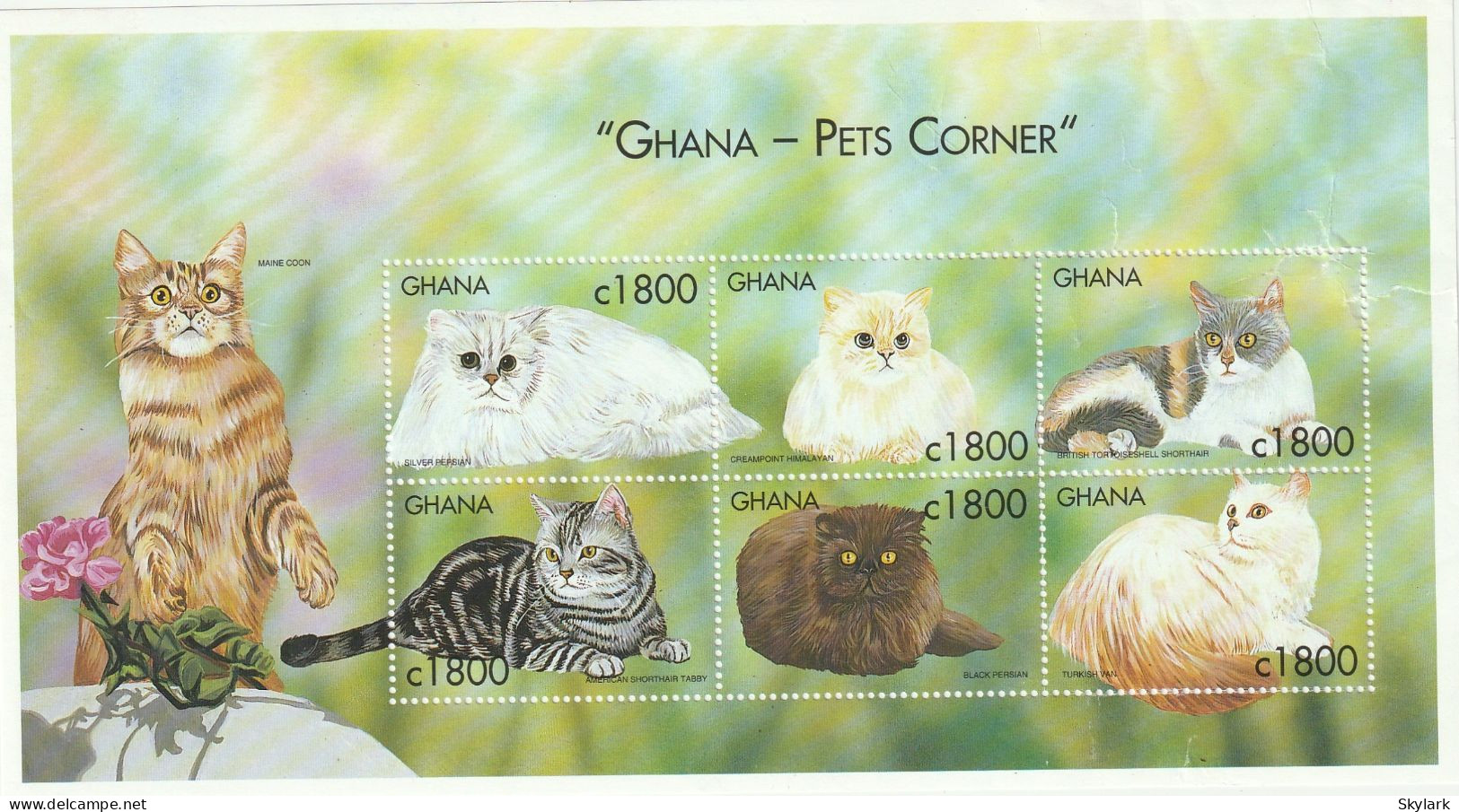 Ghana   Mini Sheet   2000   "Pets Corner -  Cats" - Ghana (1957-...)