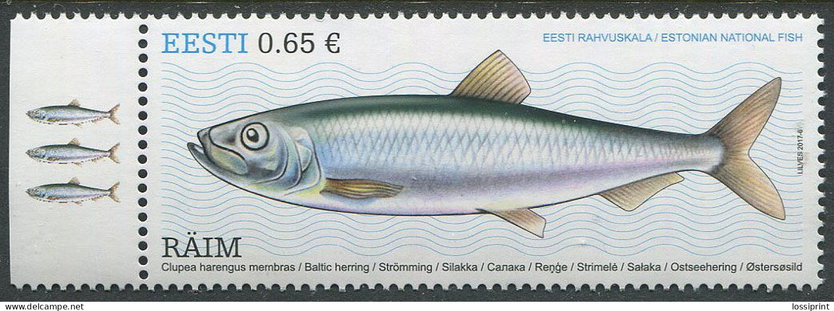 Estonia:Unused Stamp Fish, Baltic Herring, 2017, MNH - Estonie