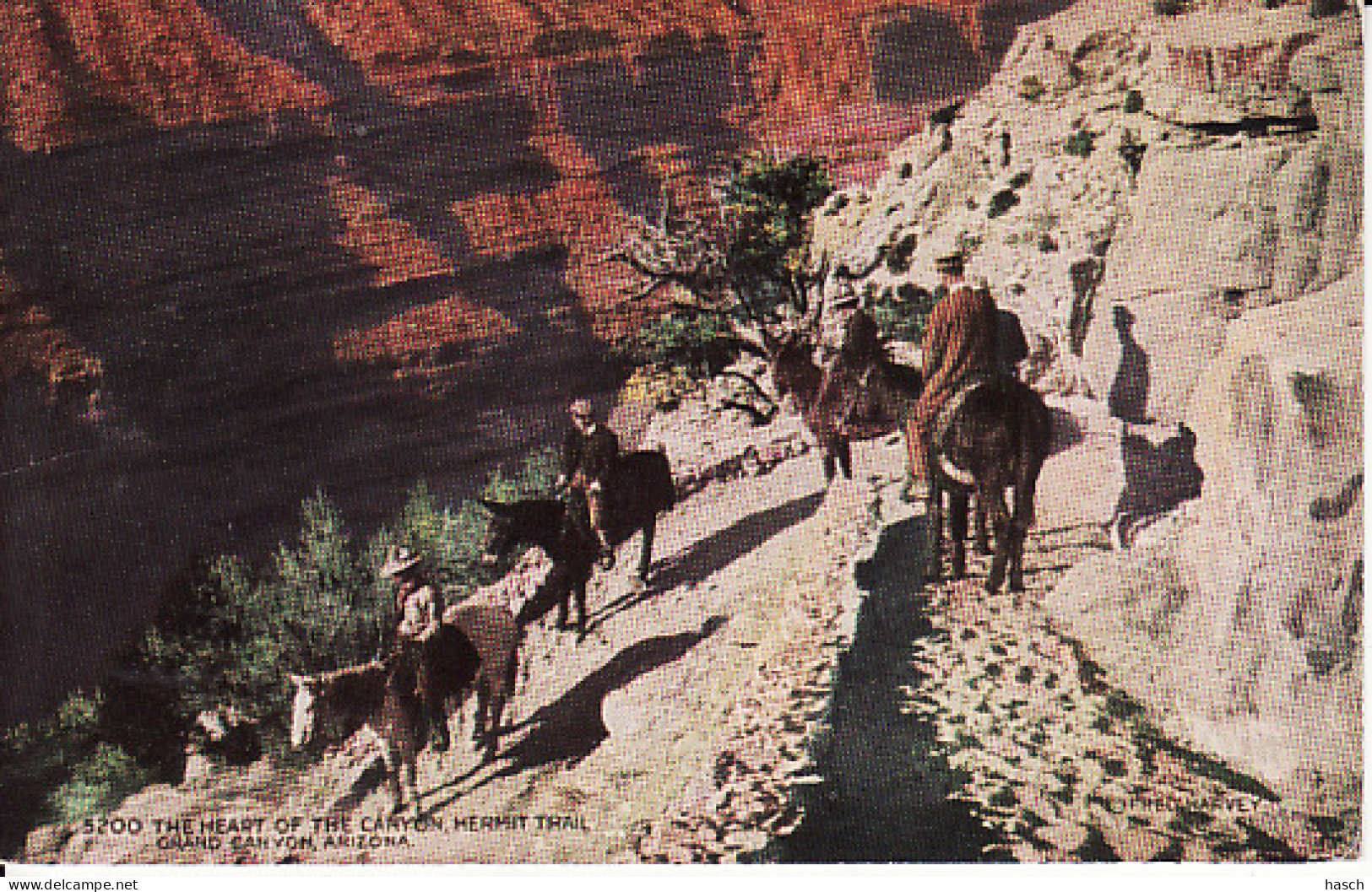 0312100Grand Canyon, Hermit Trail - Gran Cañon