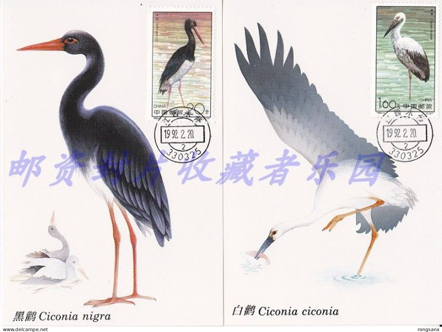 1992 CHINA 1992-2 STORK MC-12 - Cartes-maximum