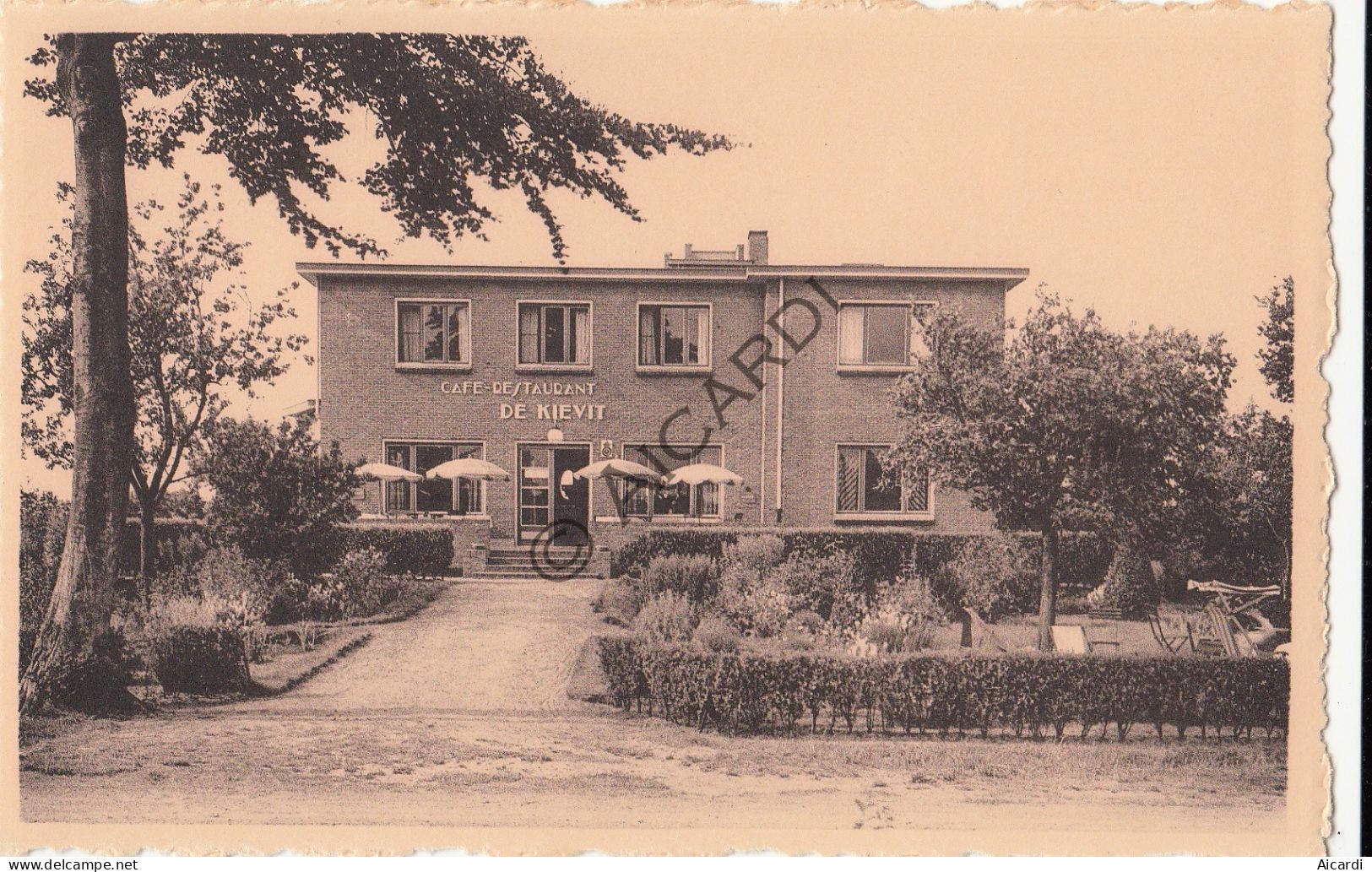 Kalmthout - Hotel De Kievit (A523) - Kalmthout