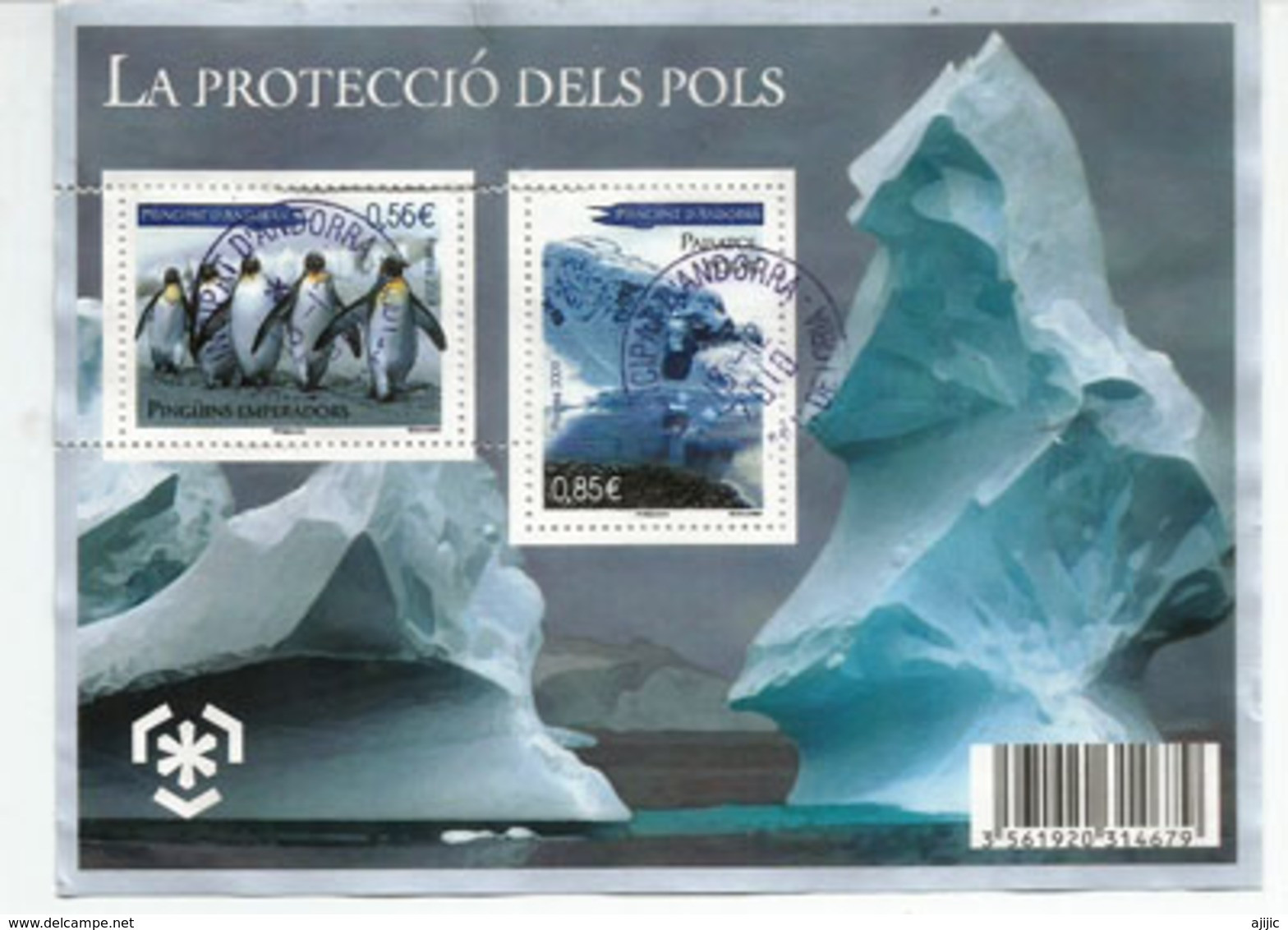 Protection Des Zones Polaires Et Des Glaciers, Bloc-feuillet Oblitéré, - Hojas Bloque