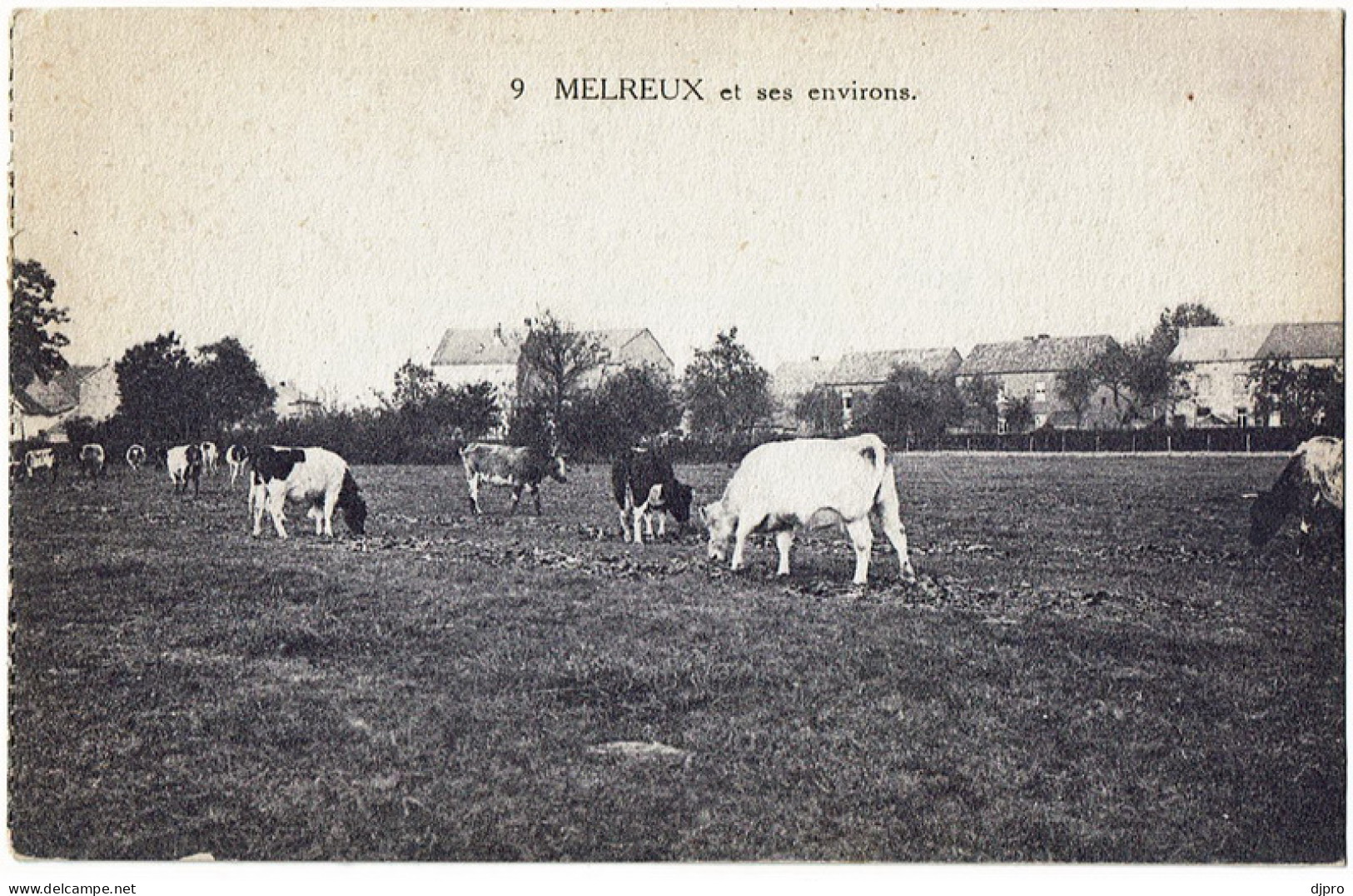 Melreux 9 Et Ses Environs - Hotton