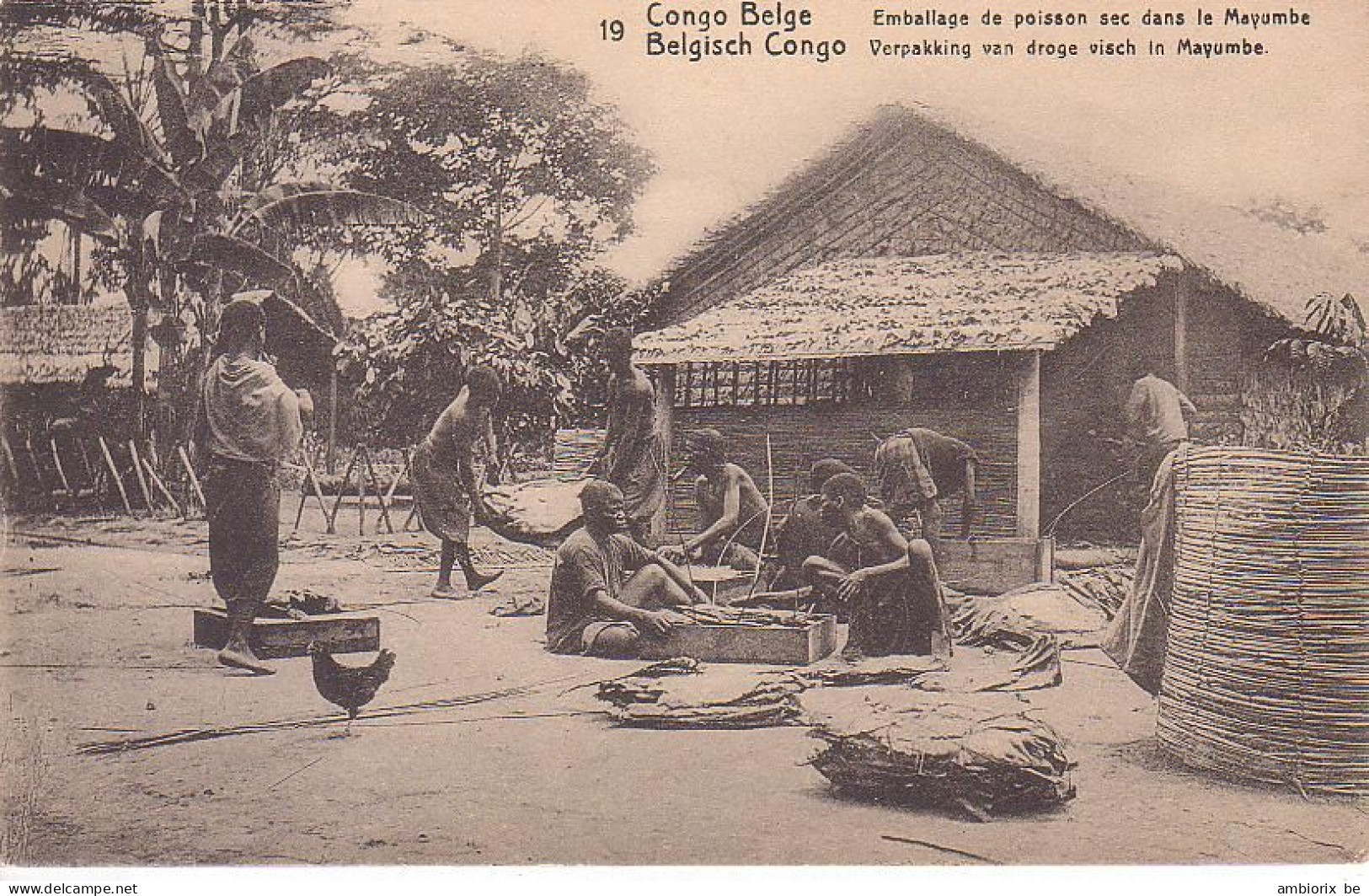 Etier Postal Congo Neuf N° 42 - 19 - Emballage De Poisson Sec Dans Le Mayumbe - Entiers Postaux